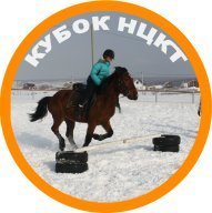 Первенство и Кубок Москвы по спортивному туризму на конных дистанциях Первенство и Кубок Москвы по спортивному туризму на конных дистанциях